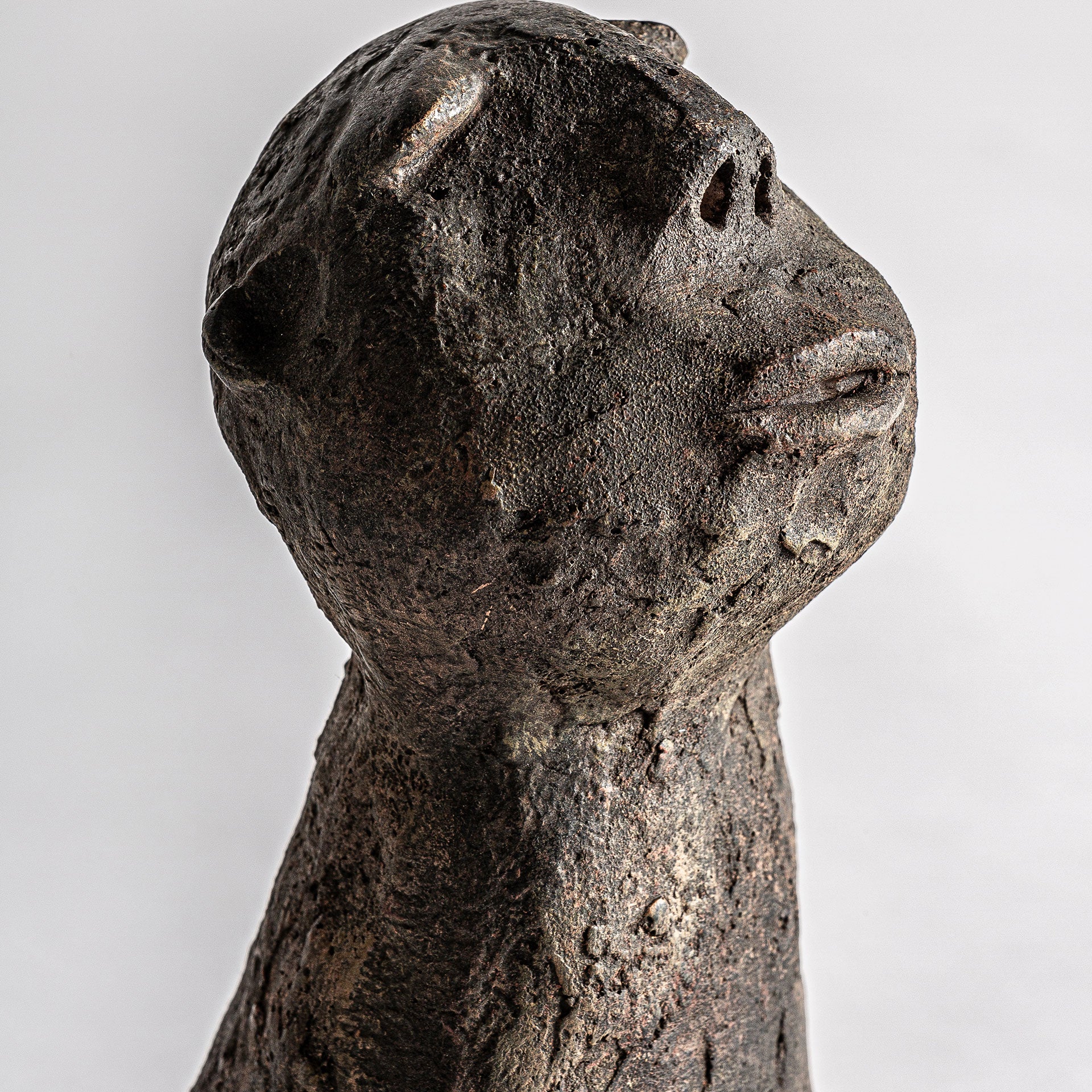 BLASSE BUST